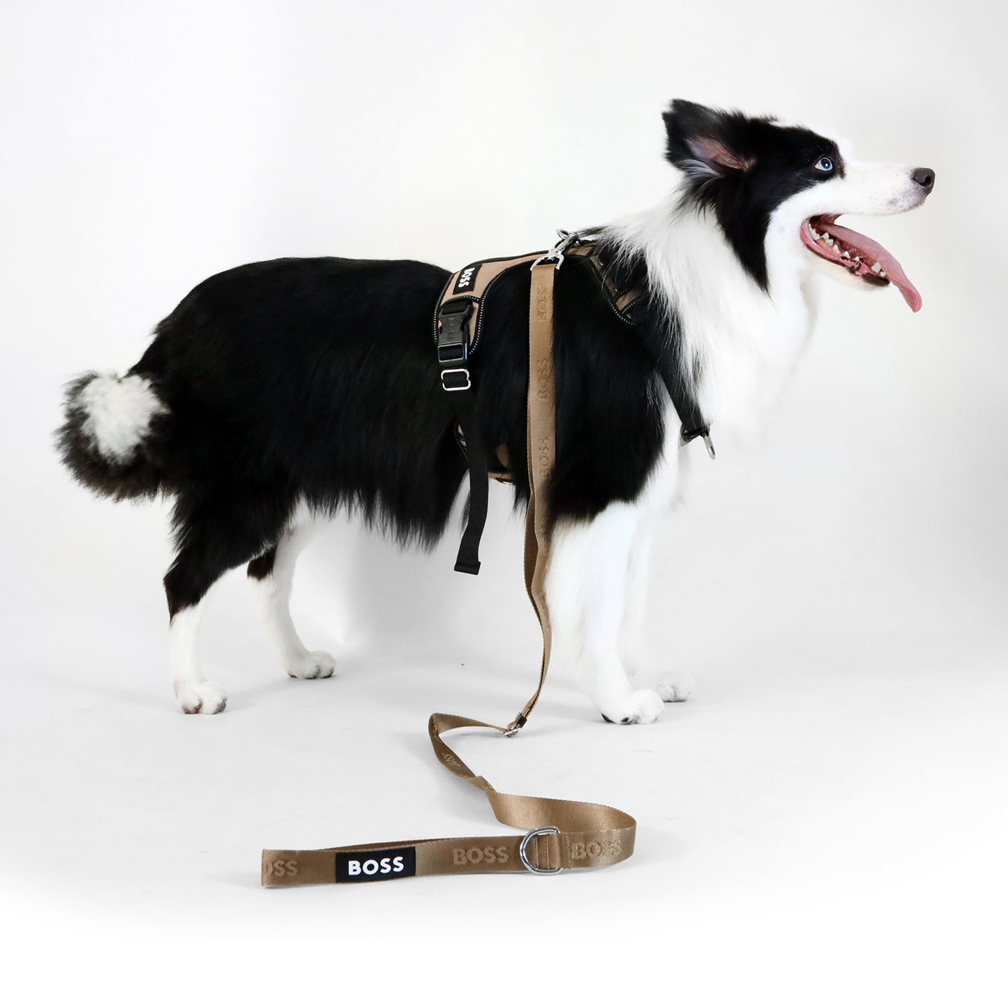 Cat and Dog Essentials Leash in Camel