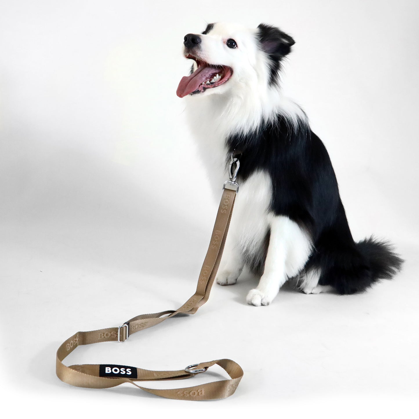 Cat and Dog Essentials Leash in Camel
