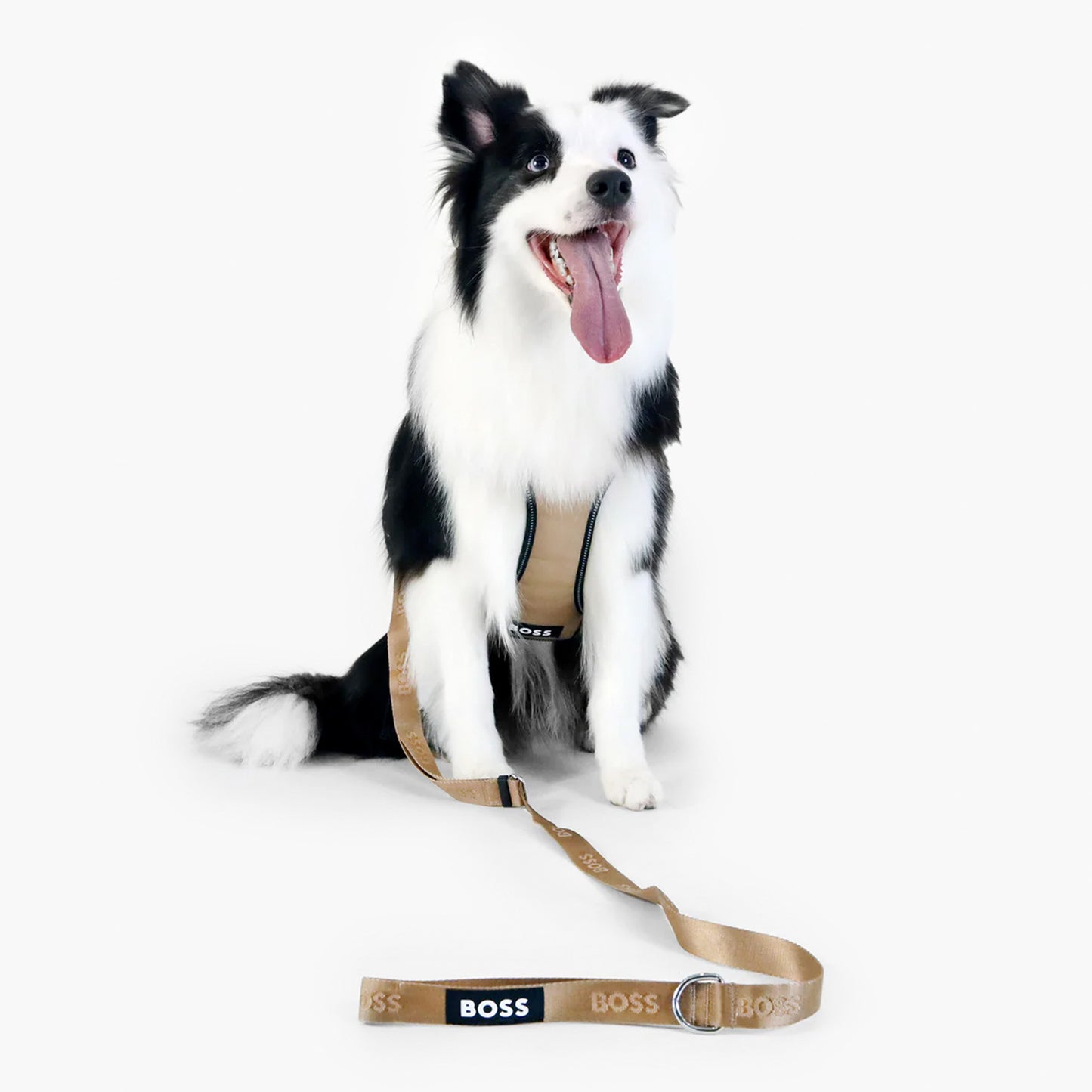 Cat and Dog Essentials Leash in Camel