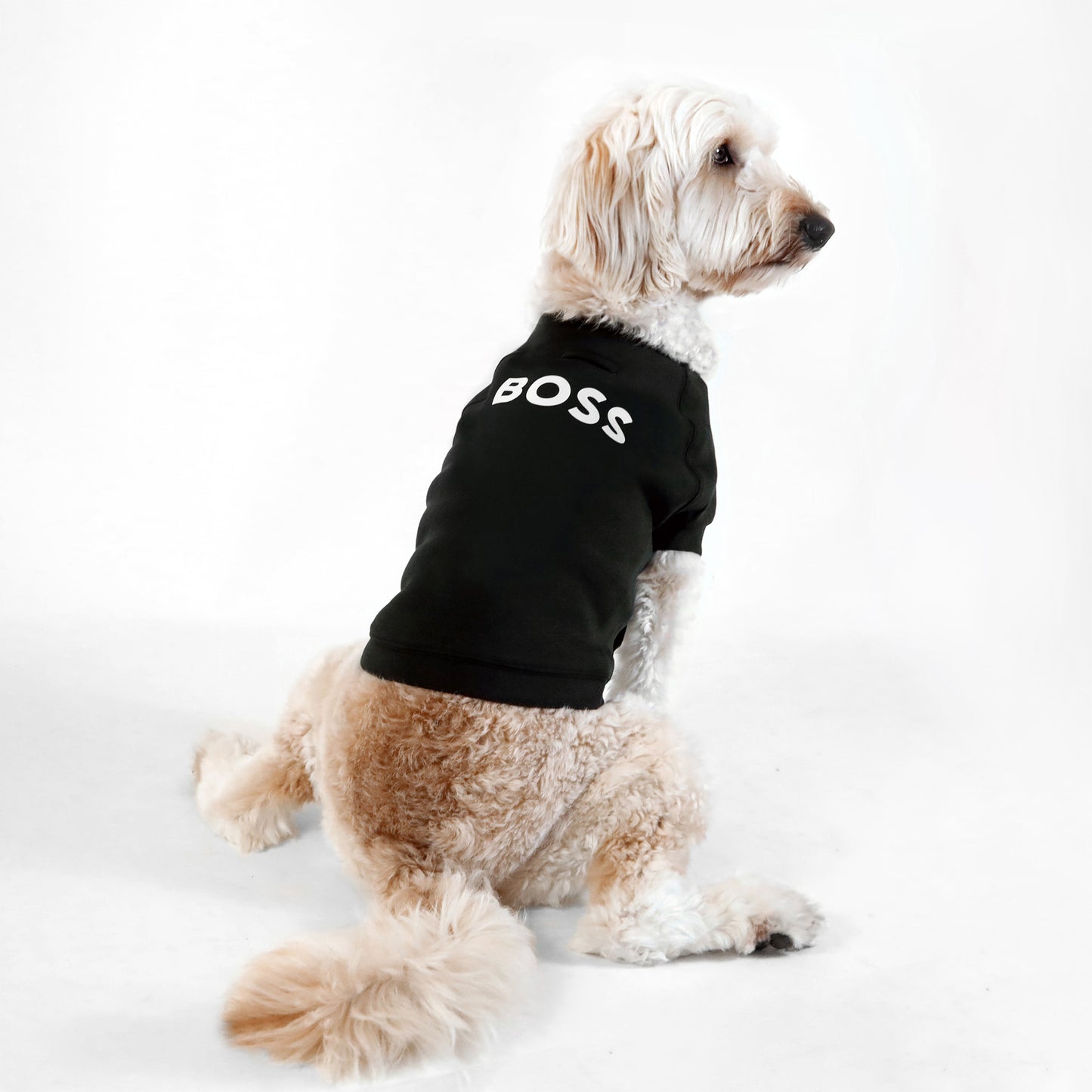 Cat and Dog Essentials Cotton Sweater in Jet Black