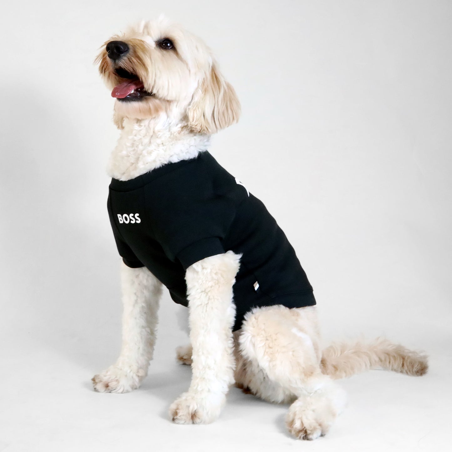 Cat and Dog Essentials Cotton Sweater in Jet Black