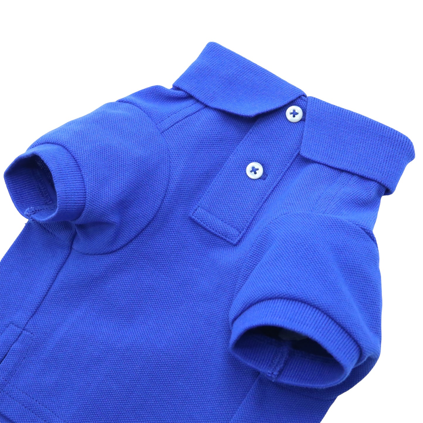 Cat and Dog Polo Bear Shirt in Bright Royal