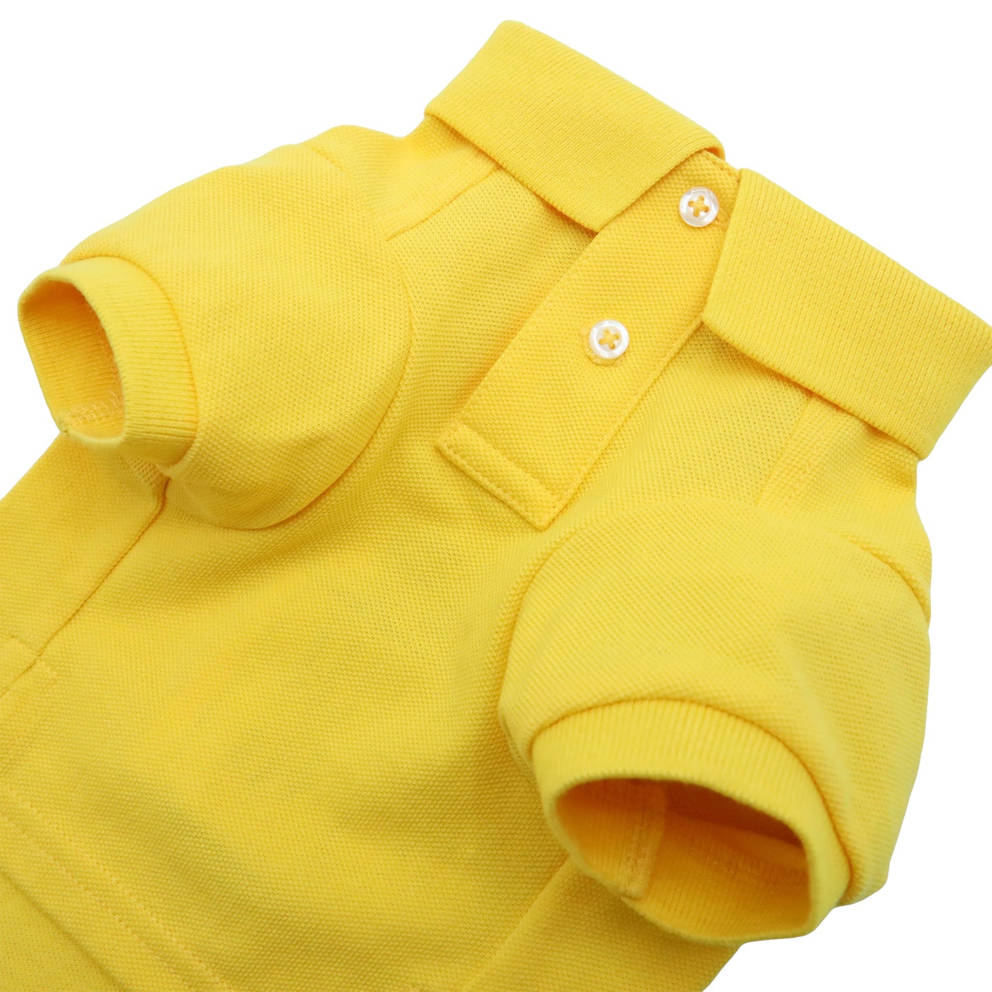 Cat and Dog Polo Bear Shirt in Yellowfin