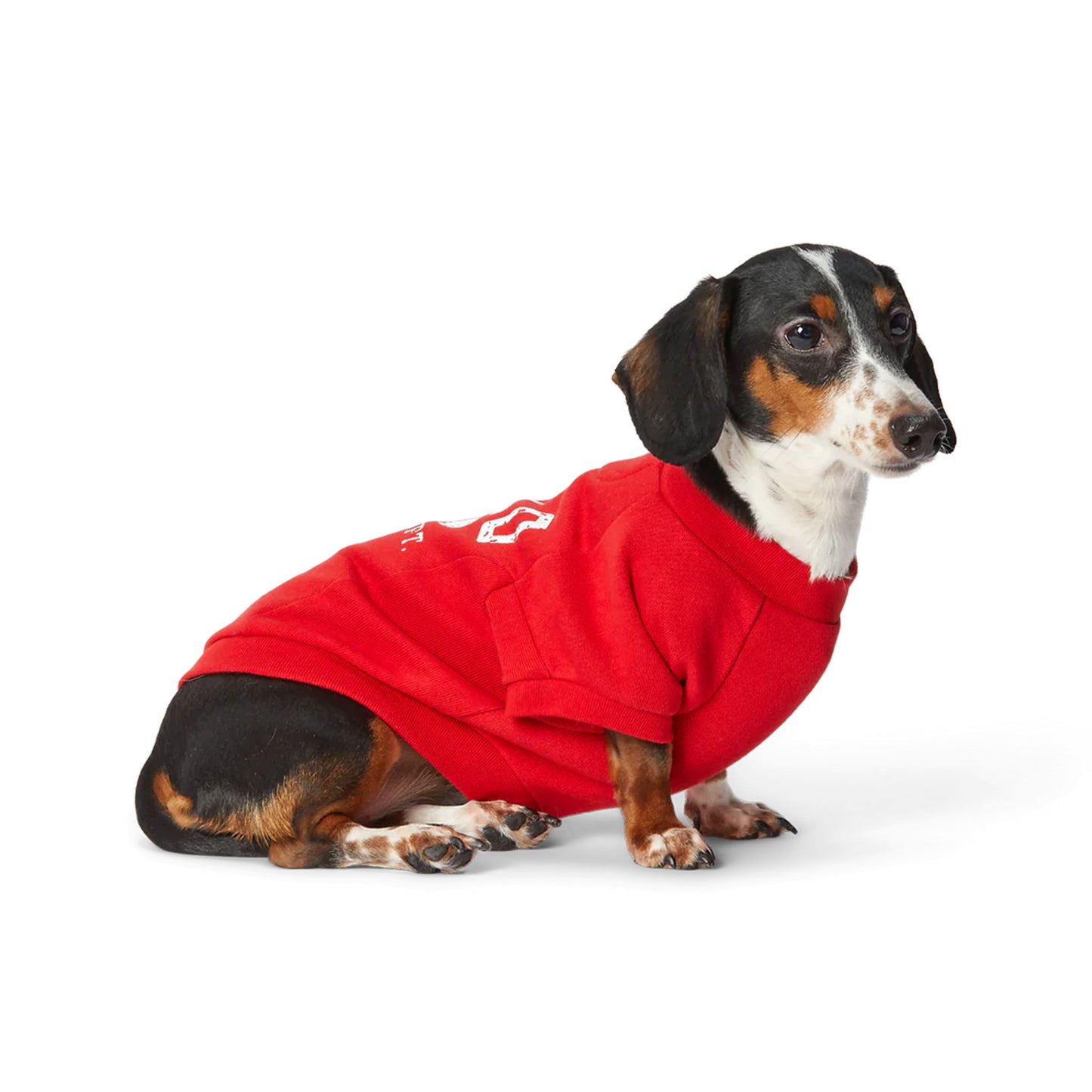 Cat and Dog Sweatshirt in RL2000 Red
