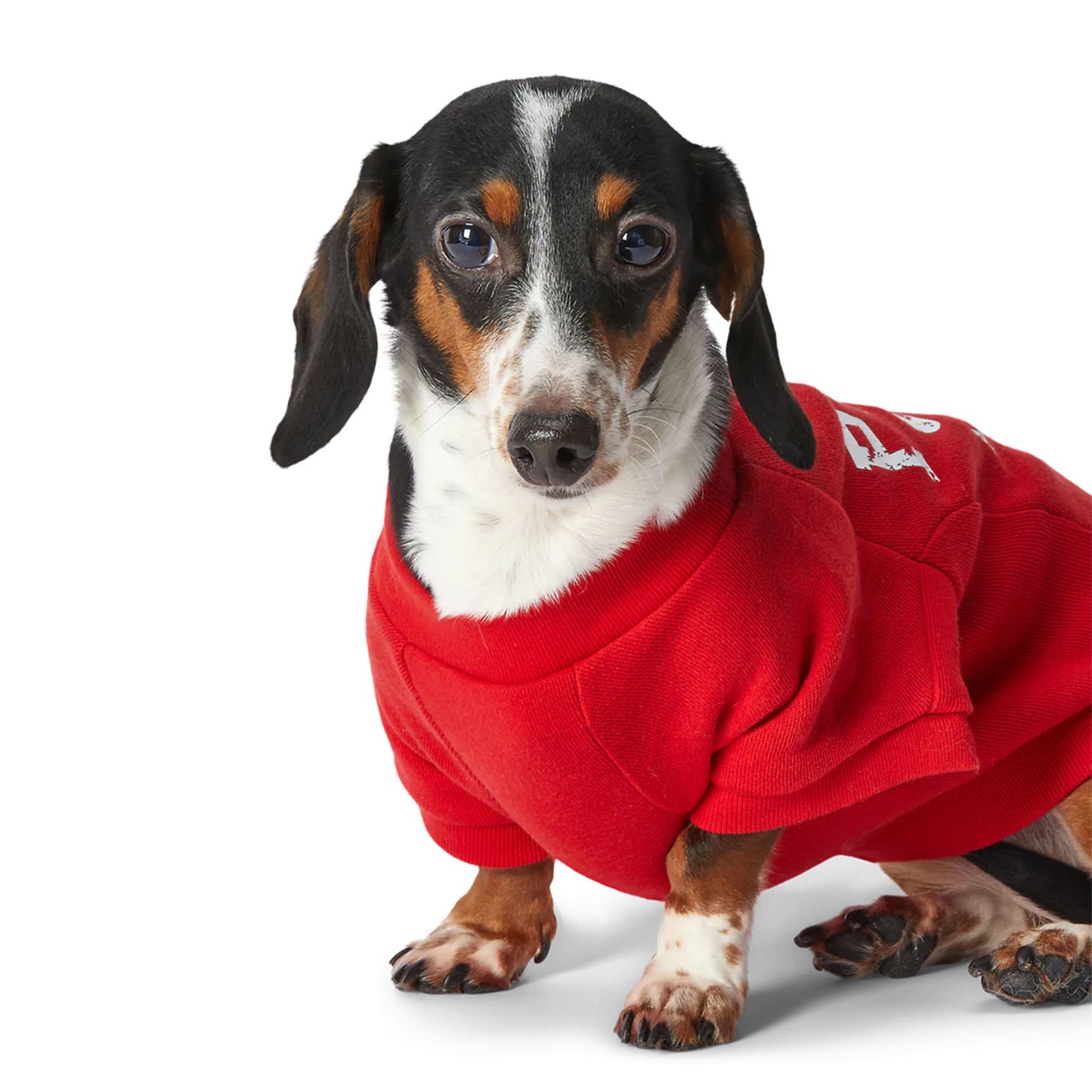 Cat and Dog Sweatshirt in RL2000 Red