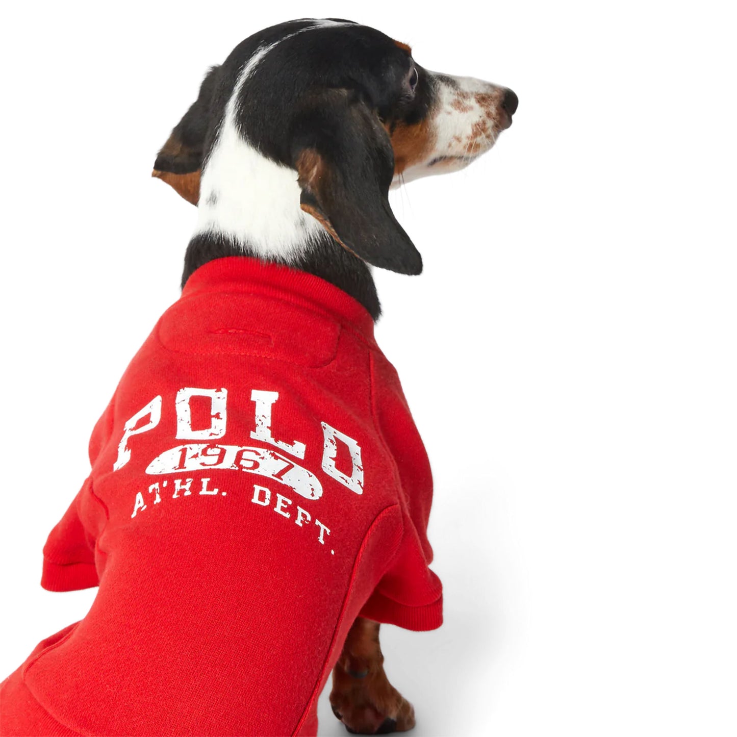 Cat and Dog Sweatshirt in RL2000 Red