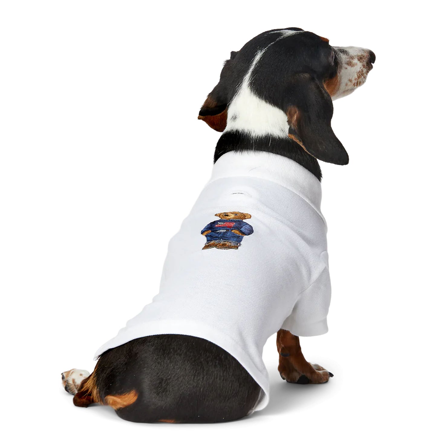 Cat and Dog Polo Bear Shirt in White