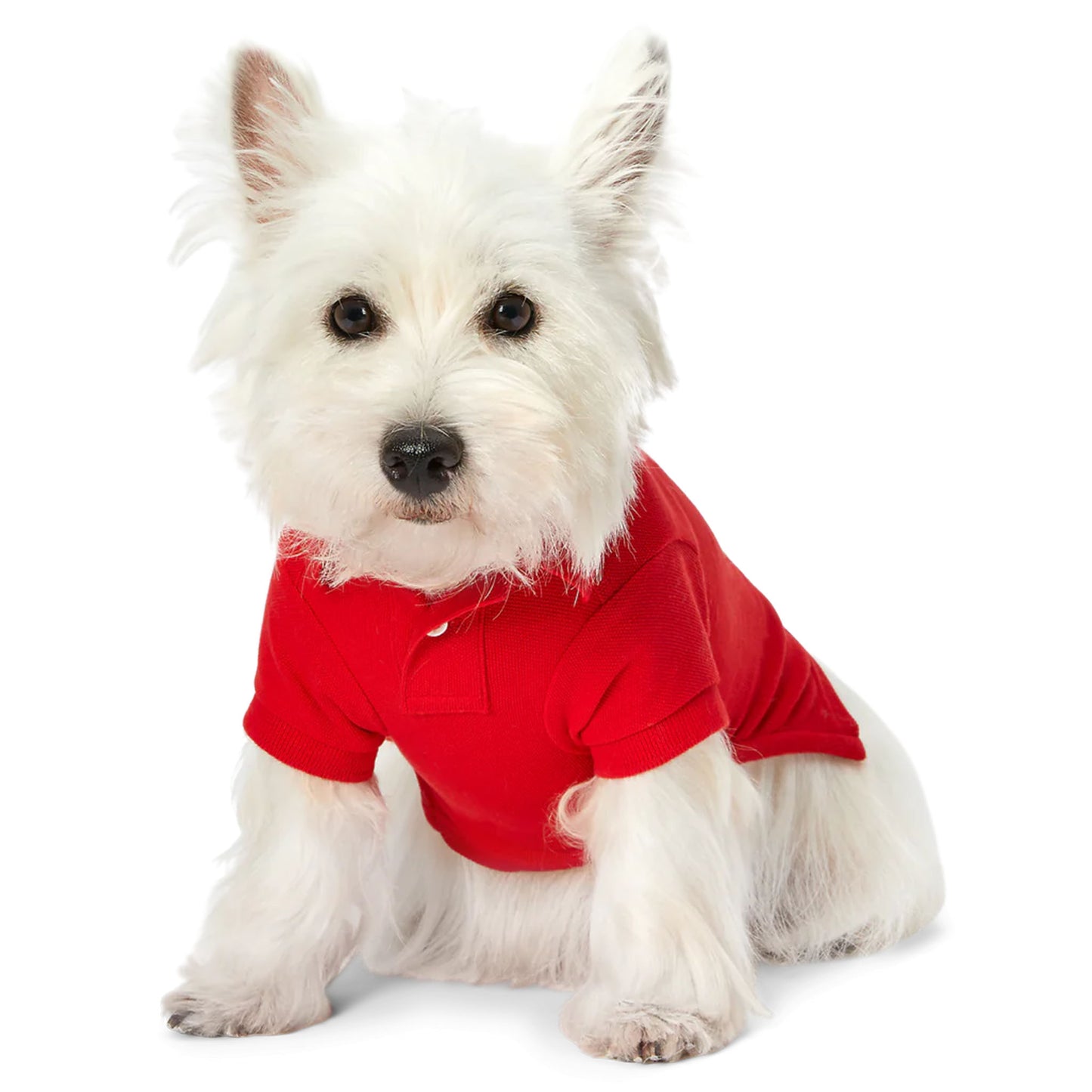 Cat and Dog Polo Bear Shirt in RL2000 Red