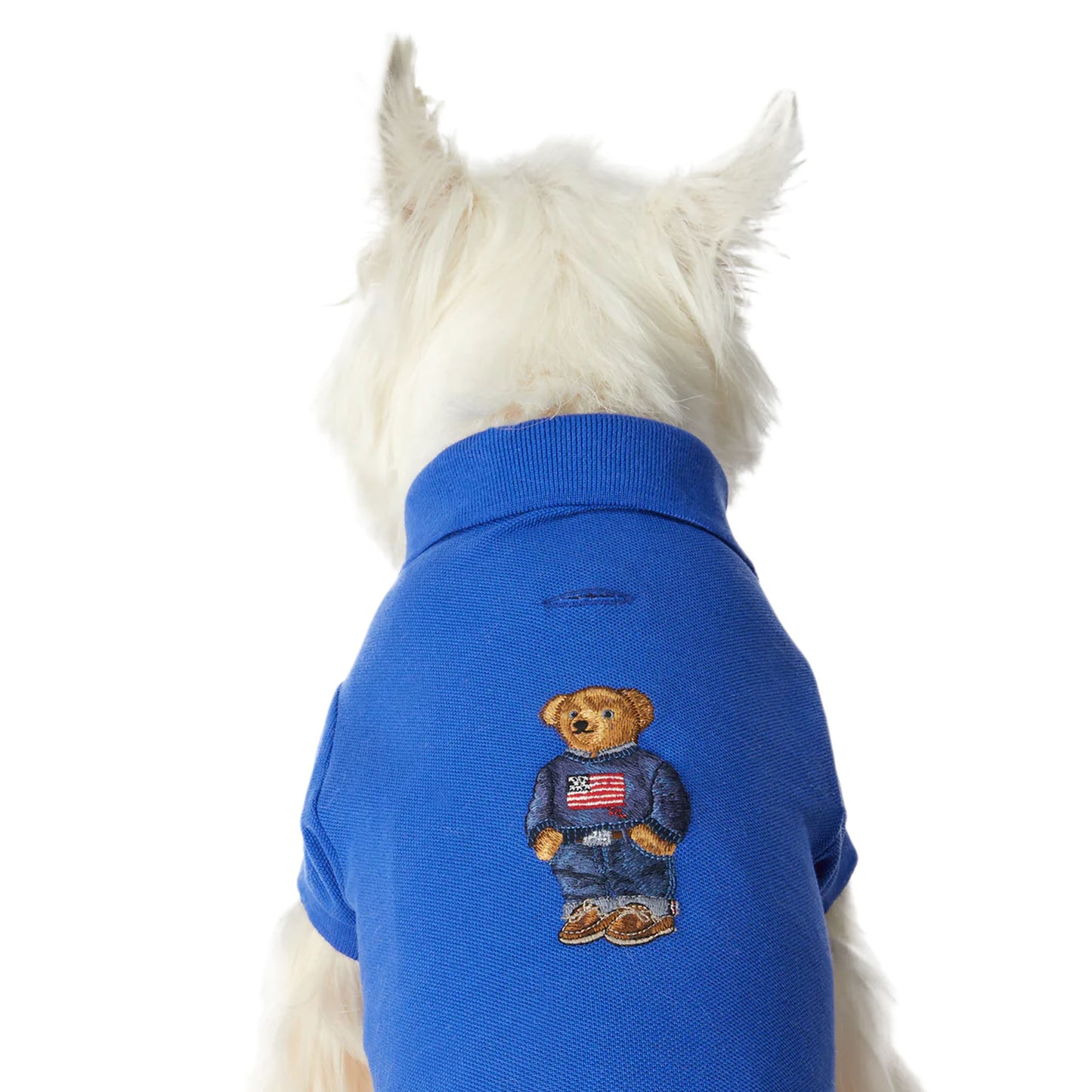 Cat and Dog Polo Bear Shirt in Bright Royal