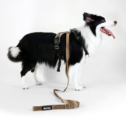 Cat and Dog Essentials Leash in Camel