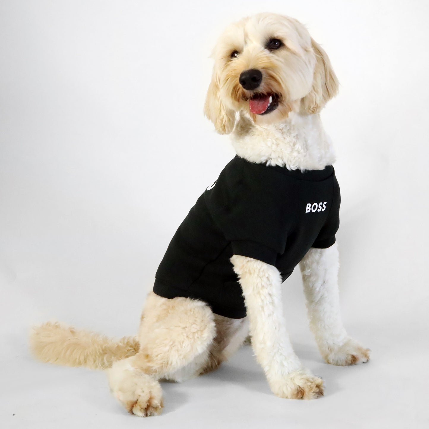 Cat and Dog Essentials Cotton Sweater - Jet Black