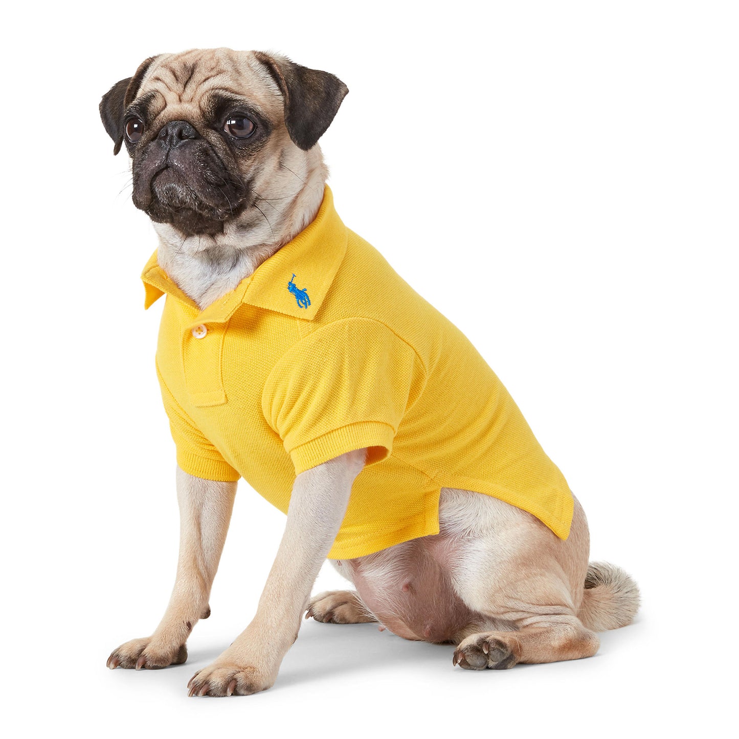 Cotton Mesh Cat and Dog Polo Shirt in Yellowfin Size XXXL