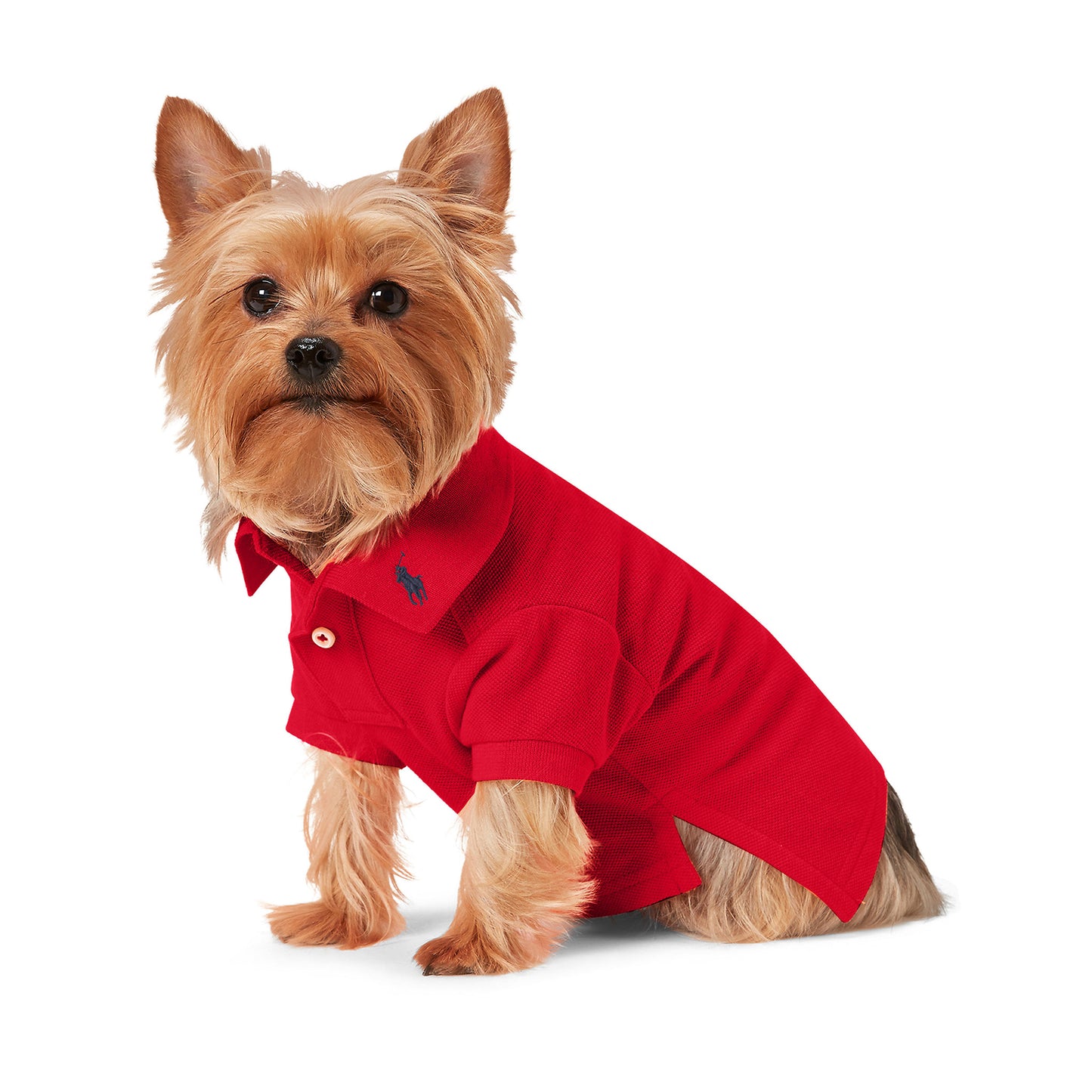 Cotton Mesh Cat and Dog Polo Shirt - Red