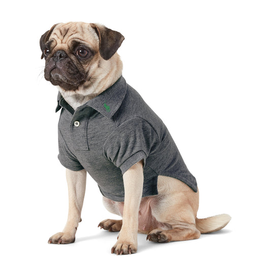 Cotton Mesh Cat and Dog Polo Shirt - Grey